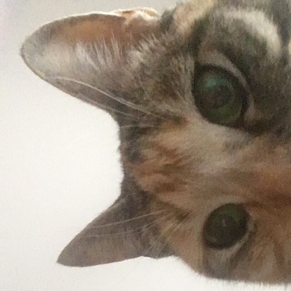 Meet your Posher, Olivia - Picture 7 of 9